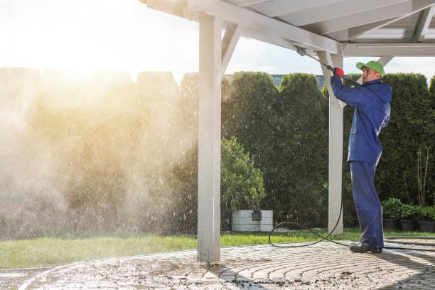 Best House Exterior Washing  in Mcgaheysville, VA