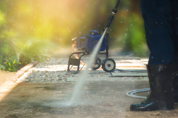 Animal Enclosure Cleaning in Mcgaheysville, VA